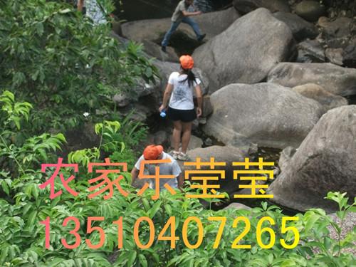 深圳日月潭農(nóng)莊圖片/深圳日月潭農(nóng)莊樣板圖 (3)