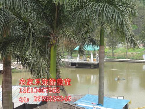 深圳荷坳拓展訓(xùn)練日月潭農(nóng)莊休閑旅游火熱進(jìn)行中