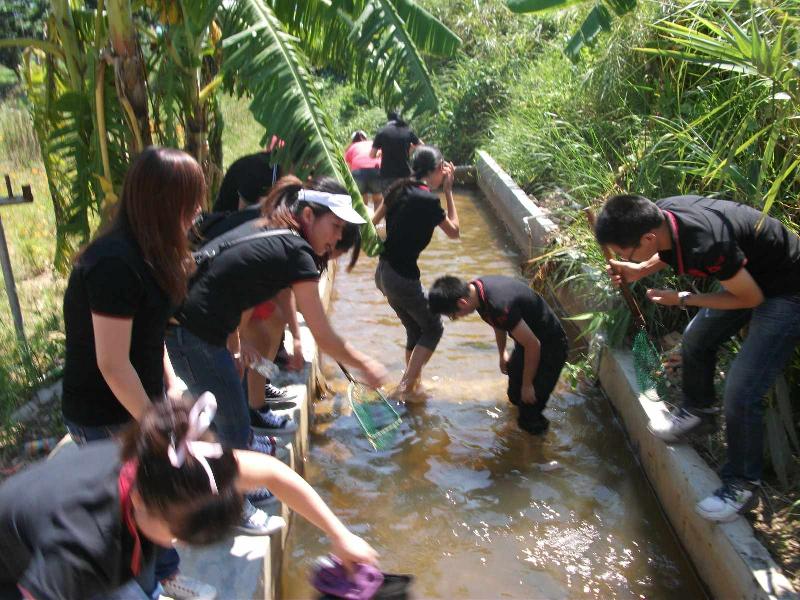 供应农家乐旅游，深圳农家乐旅游特色南澳野炊快乐的旅游感受图片