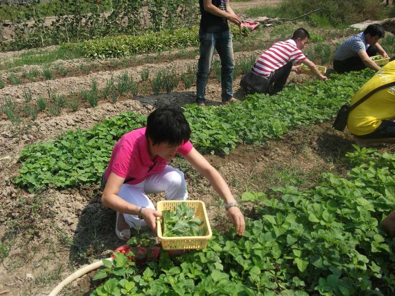 供应深圳特色农家乐