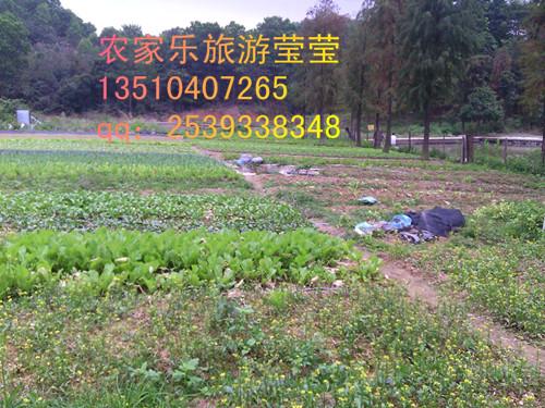 荷坳日月潭農(nóng)家樂(lè)開(kāi)張了圖片