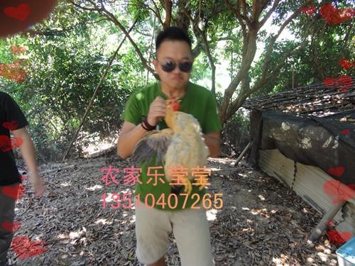 供應(yīng)2014年中秋國(guó)慶我們一起去農(nóng)家樂(lè)