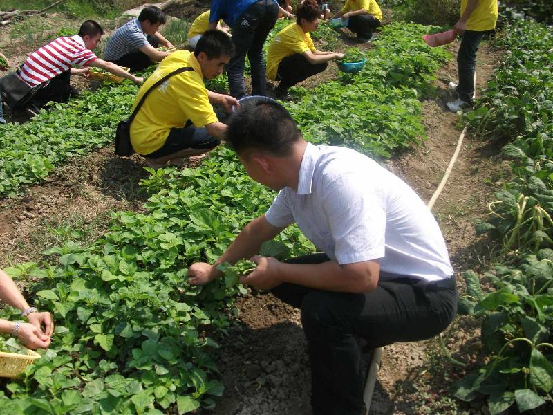 供應(yīng)深圳特色農(nóng)家樂(lè)