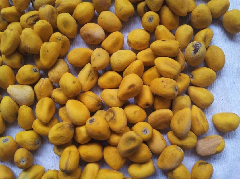 供應(yīng)澳洲火焰木種子多少錢一公斤，澳洲火焰木種子，澳洲火焰木種子價格