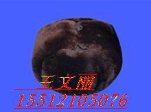 供應(yīng)安全帽★☆棉安全帽一般多少錢(qián)】★★【保暖棉安全帽】棉安全帽規(guī)格☆