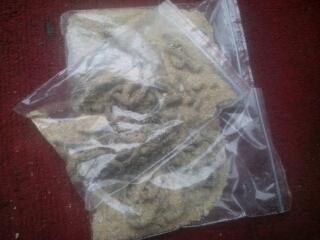 供應(yīng)優(yōu)質(zhì)腌制管蟲(chóng)袋蟲(chóng)管蛆管沙蠶