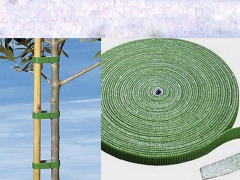 供應(yīng)鉤毛同*魔*貼