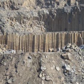 供應蒙古黑干掛招標