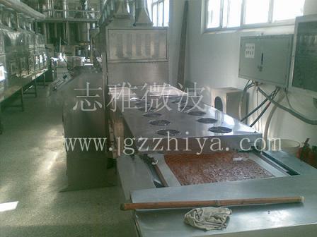 專業(yè)生產(chǎn)微波調(diào)味品干燥*