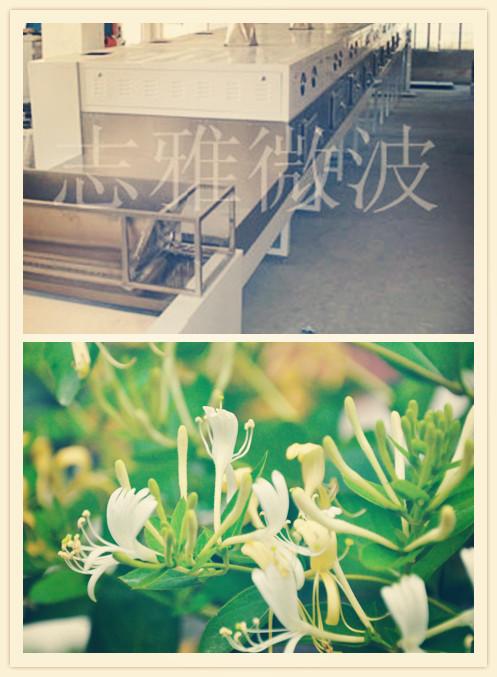 專業(yè)生產(chǎn)微波金銀花殺青機