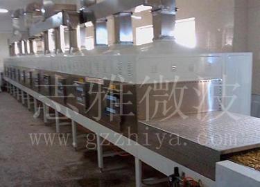 專業(yè)生產(chǎn)微波南瓜子烘干設(shè)備