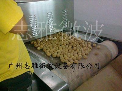 核桃烘焙設(shè)備圖片