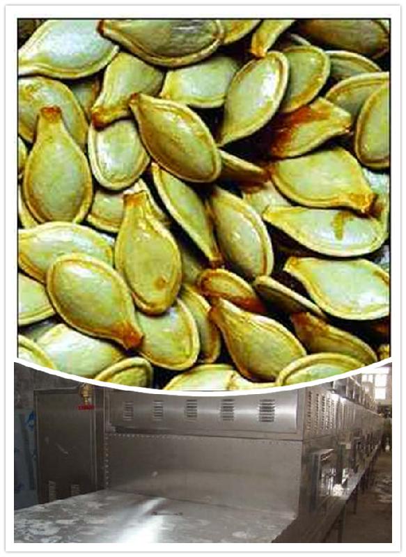 專業(yè)供應(yīng)微波南瓜子殺菌設(shè)備