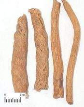 銀柴胡微波干燥殺蟲設(shè)備圖片