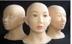 供應(yīng)人體模型硅膠