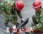 供應(yīng)佛山防水補漏公司