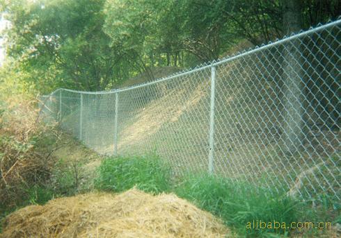 專業(yè)生產(chǎn)鍍鋅勾花網(wǎng)，養(yǎng)殖圍網(wǎng)、農(nóng)場(chǎng)圍網(wǎng).