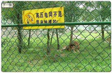 專業(yè)生產(chǎn)鍍鋅勾花網(wǎng)，養(yǎng)殖圍網(wǎng)、農(nóng)場(chǎng)圍網(wǎng).