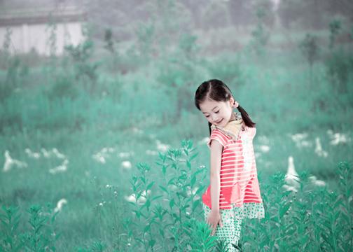 供應(yīng)蘭州龍寶寶*實景樣片春野閃亮登場