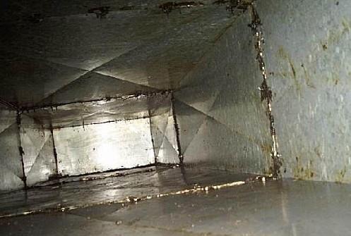 供應(yīng)南寧*的保潔服務(wù)公司