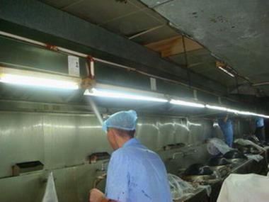 供應(yīng)*油煙機清洗管道清理*藍(lán)雄