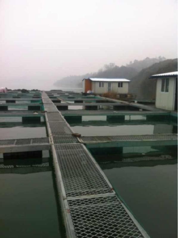 供應(yīng)養(yǎng)殖網(wǎng)箱