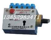 DXN-Q-3P高壓帶電顯示器圖片