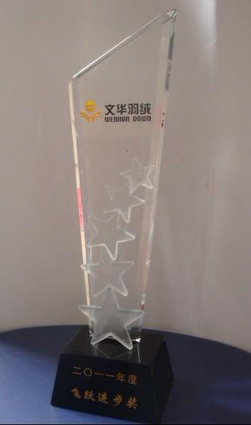 廣州水晶獎杯獎牌廠家,廣州水晶紀(jì)念禮品定做,廣州水晶獎杯，廣州水晶獎