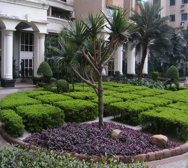 佛山市廠區(qū)工廠園林綠化工程圖片