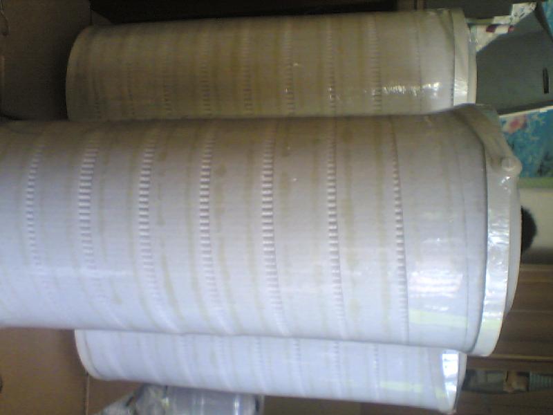 頗爾繞帶濾芯圖片