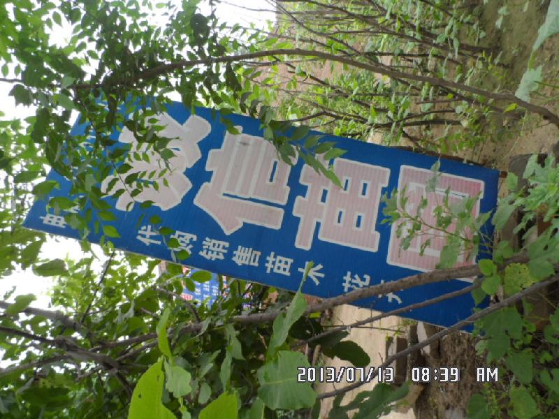 定州市诚信苗圃场