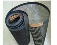 隧道爐網(wǎng)帶圖片/隧道爐網(wǎng)帶樣板圖 (2)