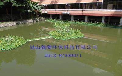 供應(yīng)植物浮島