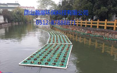 植物浮床圖片/植物浮床樣板圖 (3)