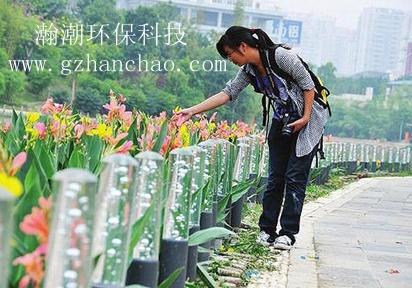 植物浮床圖片/植物浮床樣板圖 (4)