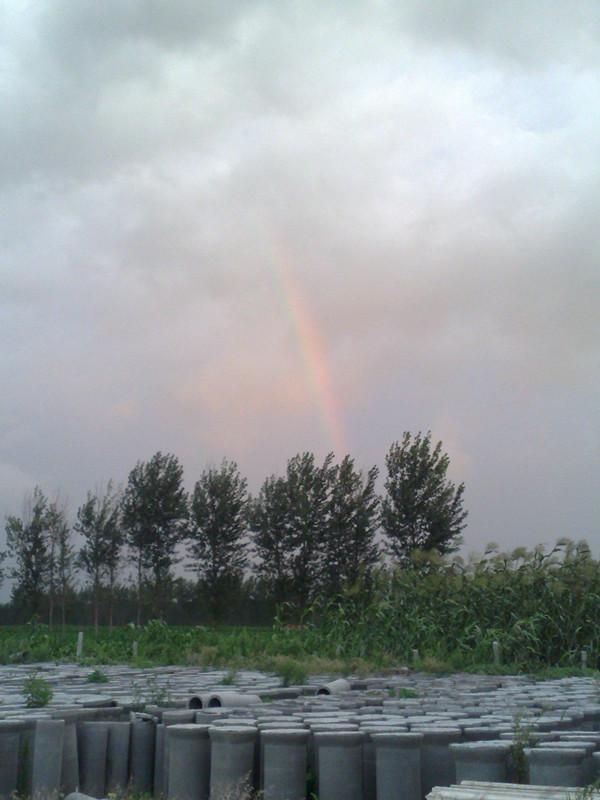 青島即墨聚源水泥管道圖片