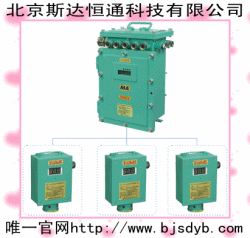 供應(yīng)AE102A氧氣充填泵