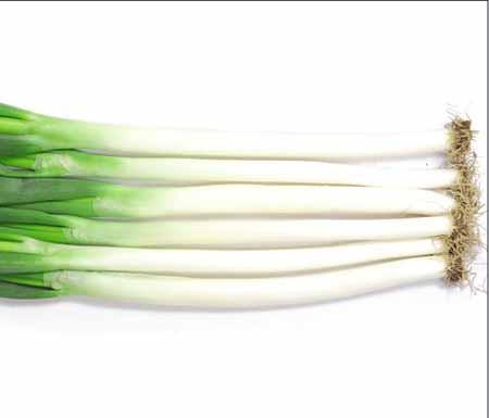 供應(yīng)蘇州蔬菜配送蘇州南環(huán)橋蔬菜配送