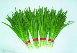 供應(yīng)蔬菜配送有限公司