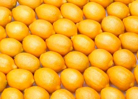 蘇州物美鮮食品配送圖片