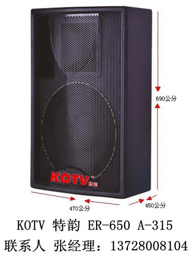 供应专业低音喇叭音箱舞台演出音箱KOTV特韵ER-650 A-315图片