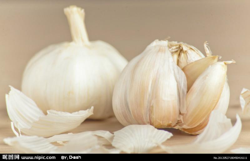 供應(yīng)新品推薦GB-800不銹鋼大蒜分瓣機(jī)/優(yōu)質(zhì)大蒜加工設(shè)備