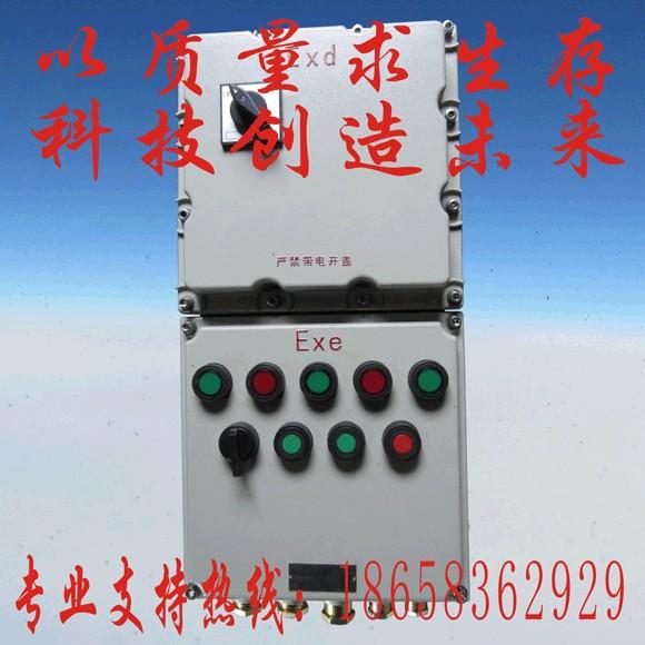 防爆綜合磁力起動(dòng)器圖片