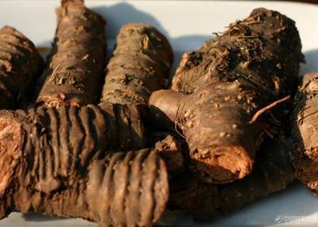 供應(yīng)進口決明子