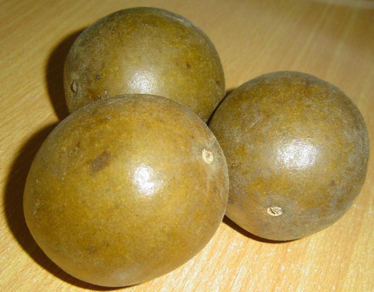 供應(yīng)廣西羅漢果云南毛冬青西藏紅景天