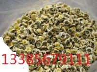 黃山貢菊供應(yīng)商圖片