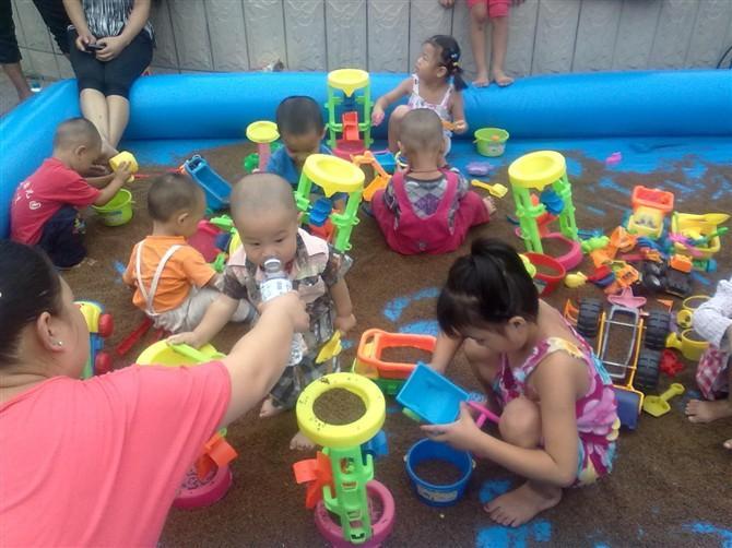 決明子進口決明子圖片