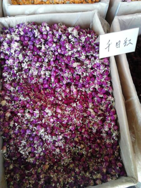 供應(yīng)昆侖雪菊黃山貢菊杭白菊胎菊