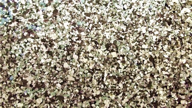 供應(yīng)巖片漆價(jià)格