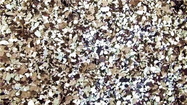 供應巖片漆多少錢一公斤